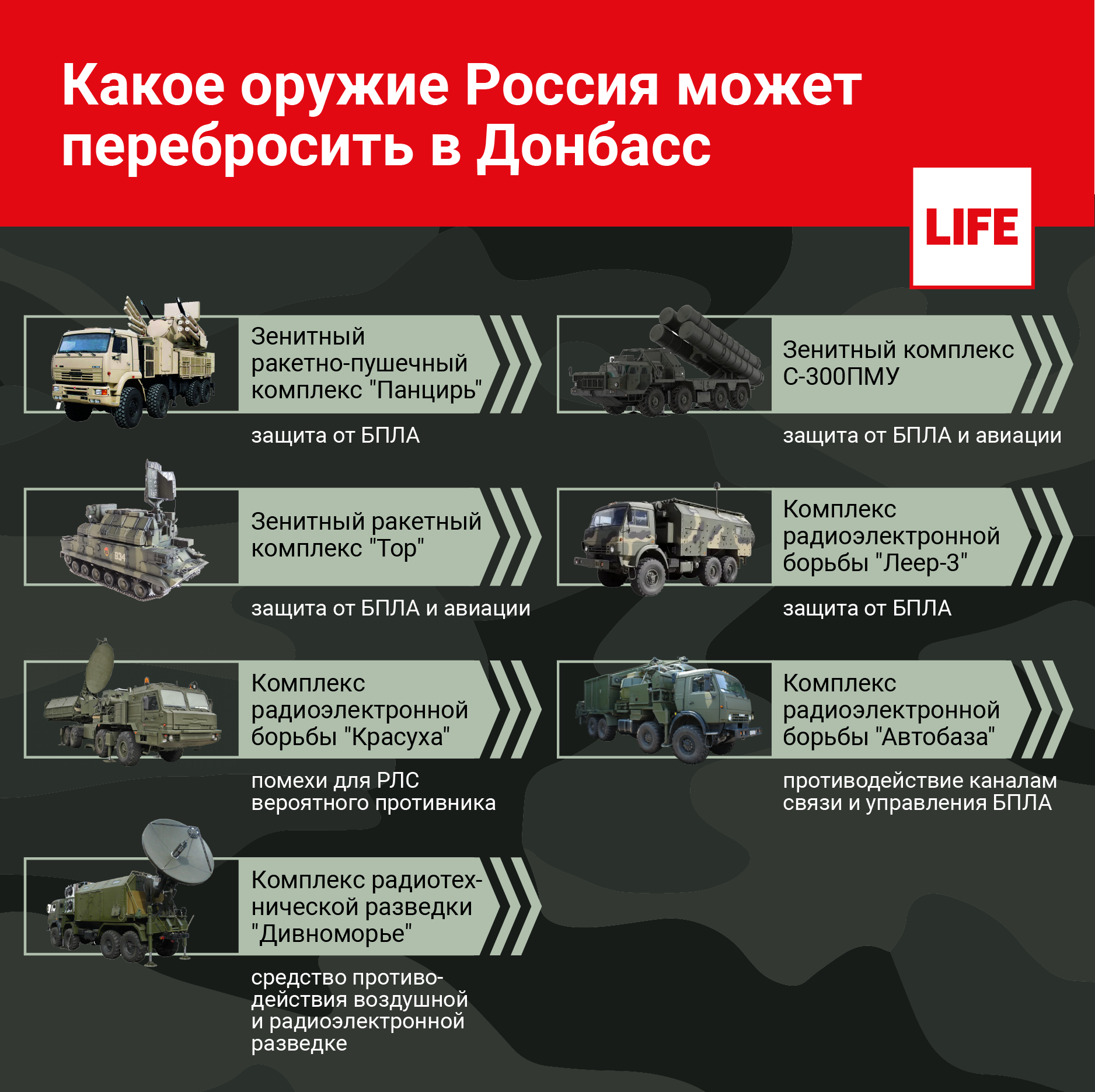 Какое оружие Россия может перебросить в Донбасс. Инфографика © LIFE