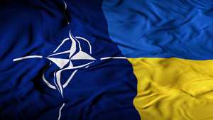 Политолог Асафов объяснил, почему НАТО поддерживает Украину только на словах