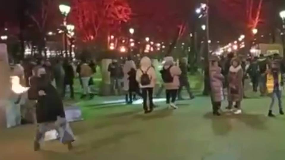 Девушка метнула коктейль Молотова в полицейских на несогласованной акции в Москве
