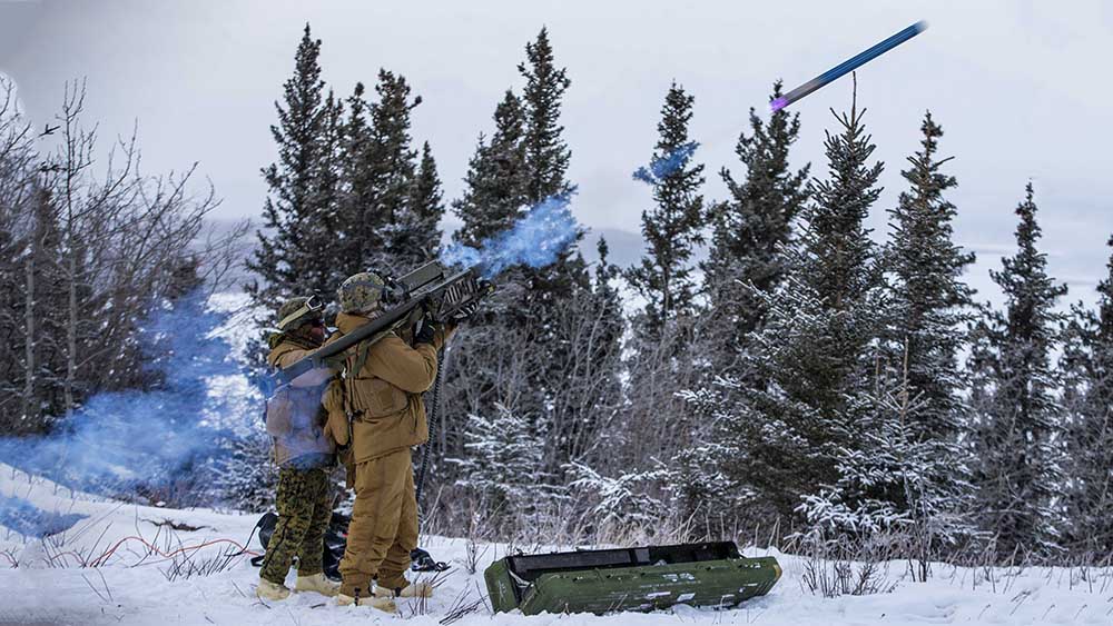 ПЗРК Stinger FIM-92. Фото © ТАСС / Zuma / Lance Cpl. Elias Pimentel