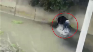 В Сириусе закладчик наркотиков спрыгнул в сливной канал, убегая от полицейских