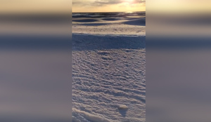 "Коктейль из холода": Сахалинцы сняли на видео снежные волны