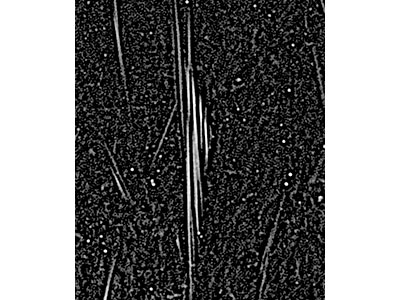 Один из кластеров "нитей", обнаруженных в центре Млечного Пути при наблюдениях в радиодиапазоне. Фото © Северо-Западный университет (США)