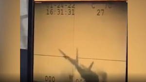 Проскользил по палубе и упал за борт: Момент аварийной посадки истребителя ВМС США F-35 в Южно-Китайском море попал на видео