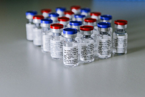 Гинцбург назвал регистрацию вакцины "Спутник V" в ВОЗ неизбежной