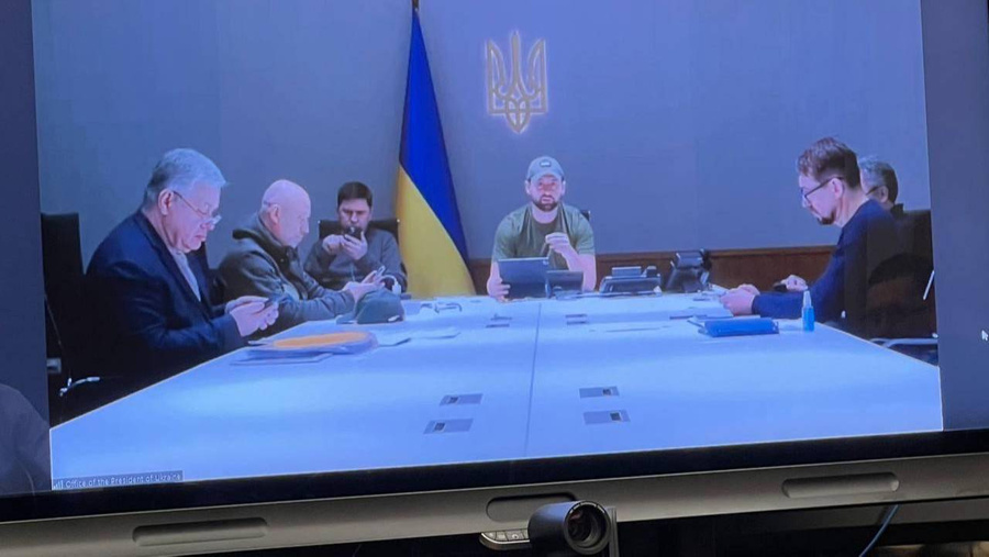 Переговоры между Россией и Украиной в формате ВКС. Фото © Telegram / Владимир Мединский