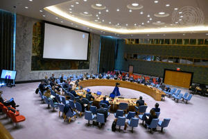 Британия и США запросили заседание Совбеза ООН по Украине