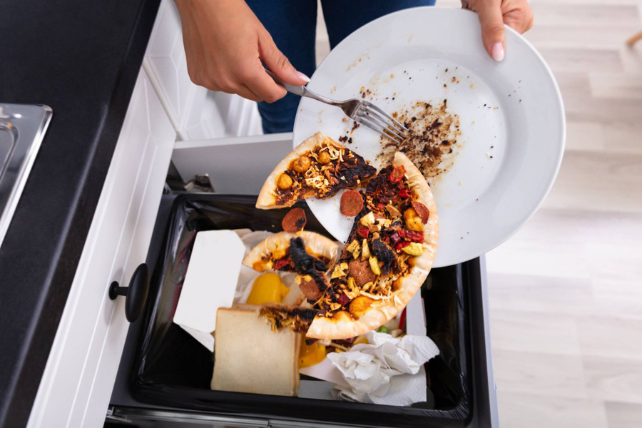 Почему нельзя выбрасывать еду. Фото © Shutterstock