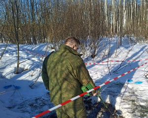 В Москве в лесу найдены два расчленённых полусгоревших тела