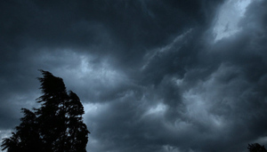 Штормовое предупреждение объявили в Новороссийске из-за ураганного ветра
