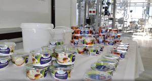 В Ленобласти открыли новый завод компании "Молочная культура" для помощи в импортозамещении