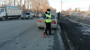 В Екатеринбурге водитель BMW насмерть сбил 11-летнюю девочку