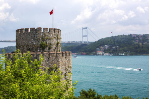 Минобороны Турции изучает обнаруженную в Босфоре мину