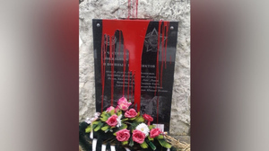 Полиция задержала осквернителя памятника ветеранам локальных войн в Подмосковье