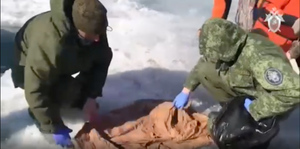 Тело пропавшей в Иркутске восьмиклассницы нашли в реке Ангаре