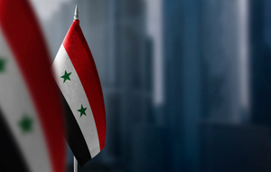 Посол Сирии в Москве: Дамаск готов обсуждать с РФ расчёты в национальных валютах