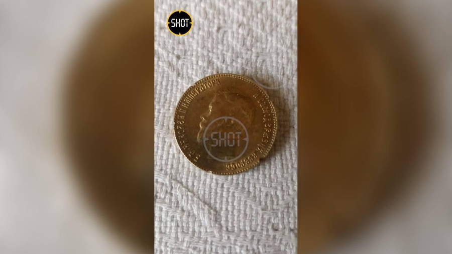Обычные монеты, которые мигранты из Королёва выдали за "царские". Фото © Telegram/SHOT