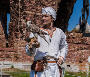 Сокольник Аводнев рассказал о планах открыть центр с хищными птицами в Петербурге