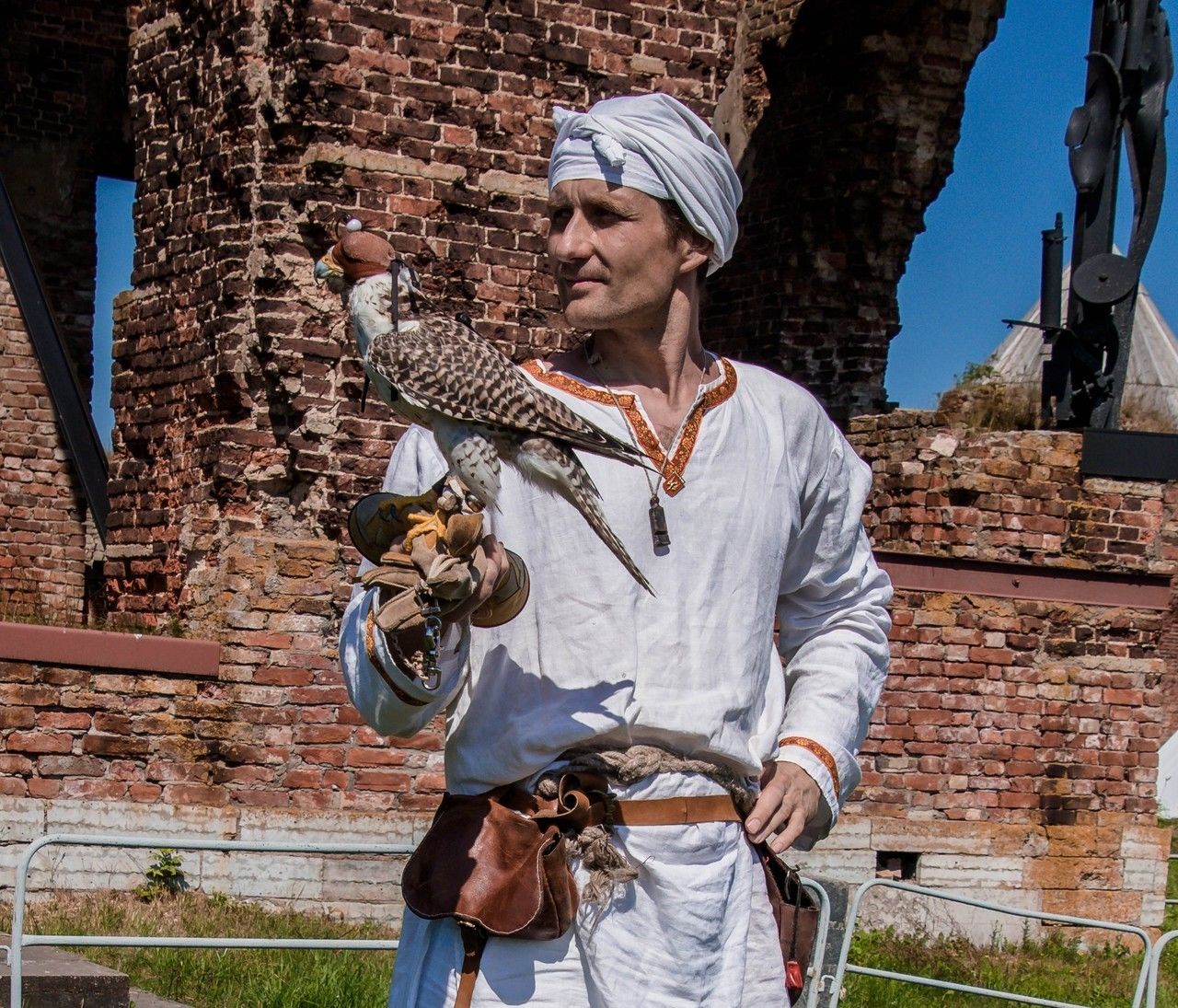 Сокольник Аводнев рассказал о планах открыть центр с хищными птицами в Петербурге