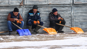 Член СПЧ Кабанов предложил сократить число трудовых мигрантов для сохранения рабочих мест
