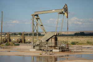 Псаки заявила, что Байден ещё не принял решение о возможности запрета импорта нефти из РФ