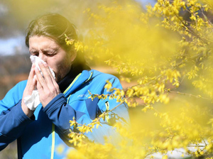 Иммунолог Гайсина рассказала, какие цветы не стоит дарить аллергикам