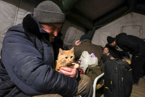 Минобороны РФ: Киев подтвердил только один гуманитарный маршрут из 10 предложенных РФ