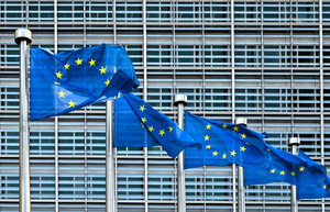Страны Северной Европы и ЕС приостановили сотрудничество с РФ в Евроарктическом регионе