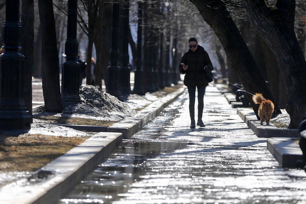 Синоптик Позднякова назвала дату последнего снежного дня в Москве