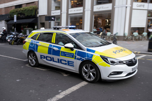 В Лондоне мужчина с мачете набросился на полицейского