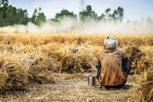 Экономист Белхароев рассказал, каким мировым регионам грозит голод без российского зерна