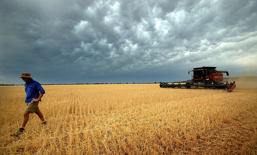 Австралийский фермер. Фото © Getty Images / Louise Kennerley / Fairfax Media