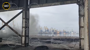 МО РФ сообщило о полном освобождении порта Мариуполя от боевиков "Азова"