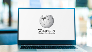 Член ОП РФ Малькевич: Через пять-десять лет в "Википедии" перепишут всю правду о России