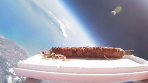 Турецкий повар отправил кебаб в космос 