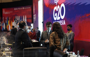 Министр финансов Японии допустил участие России во встрече G20 онлайн