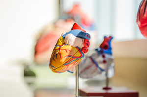 Учёные Университета Джонса Хопкинса научились предсказывать остановку сердца за 10 лет