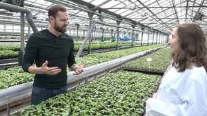 Агроном Блокин-Мечталин рассказал, как в условиях санкций развивается семеноводство