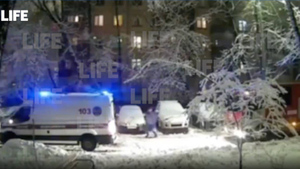 В московском районе Лефортово из-за снежной бури на девочку рухнуло дерево 