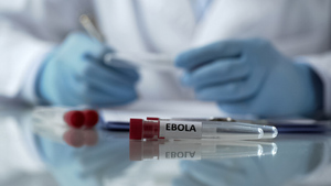 В Конго зафиксировали первую за год смерть от лихорадки Эбола