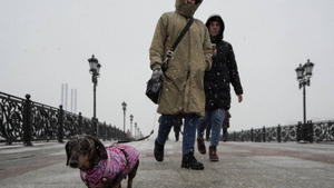 "Будем поёживаться": Вильфанд предупредил о резком похолодании в Москве и Подмосковье