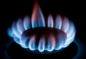 Канцлер Нехаммер: Австрия приняла условия оплаты газа из РФ в рублях