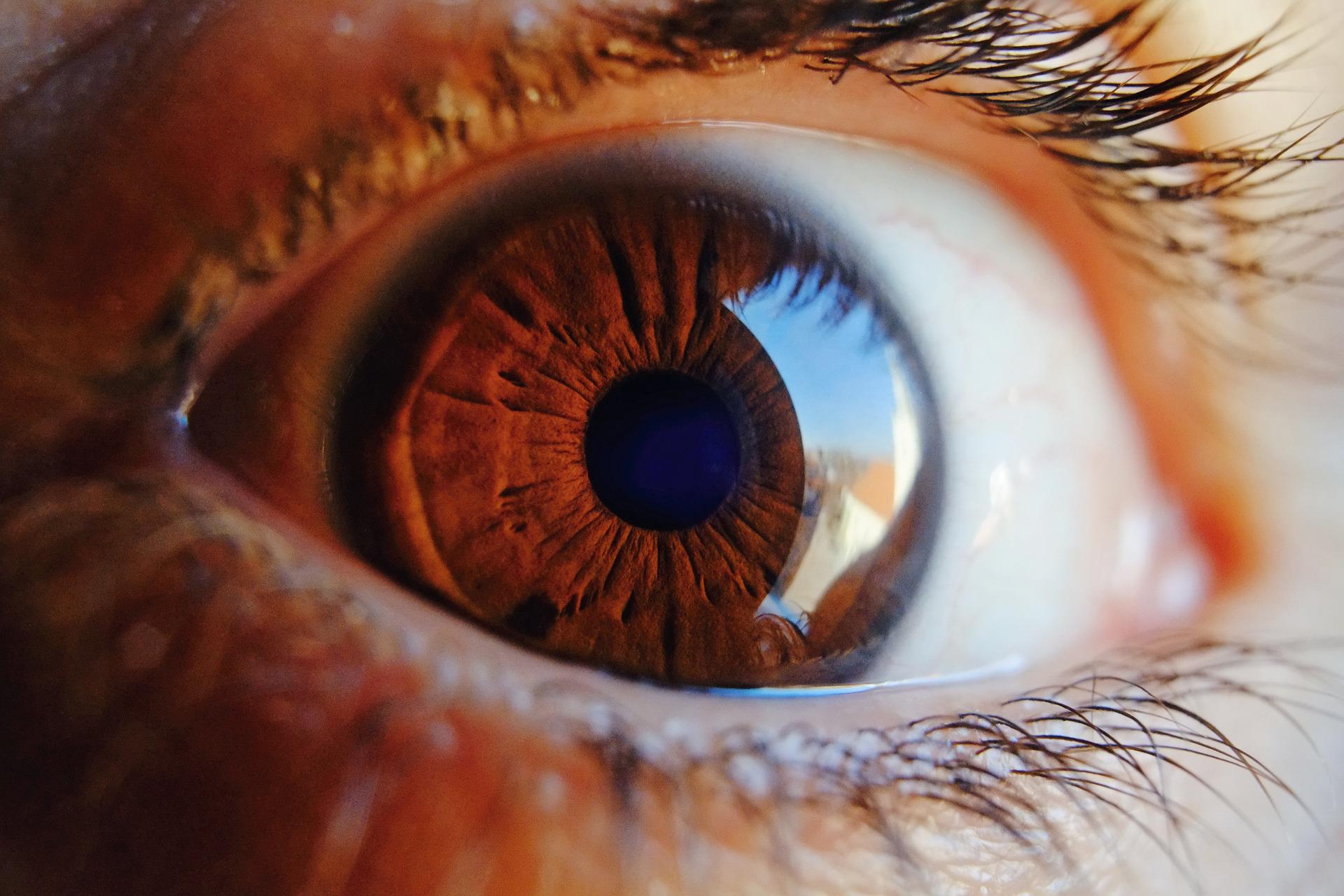 Учёные Сеченовского университета собрались прогнозировать болезни сердца по глазам