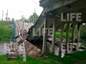 Последствия рухнувшего моста в Краснодарском крае. Фото © LIFE