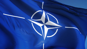 ВЦИОМ: Почти 60% россиян отрицательно относятся к НАТО