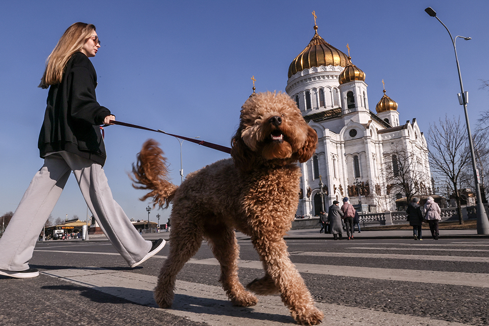 ВЦИОМ: 88% россиян не хотят переезжать за границу на постоянное место жительства