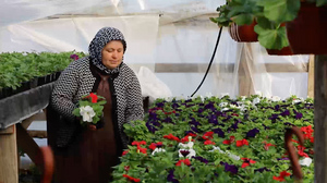 Семейный цветник из Дагестана может заменить голландские розы