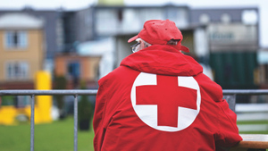 В петербургском отделении Красного Креста сообщили о помощи беженцам с Украины и Донбасса