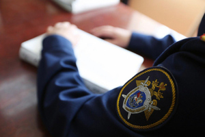 СК проверит информацию об обстреле Украиной гуманитарной колонны под Белгородом