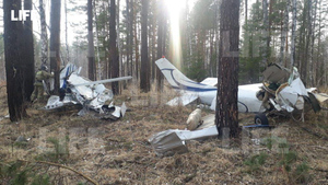 Обломки рухнувшего легкомоторного самолёта. Фото © LIFE